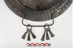 Foto von Bronzebreitrandschale (NHMW-PRAE-025260)